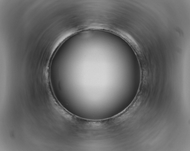 X0000112511190200908171327