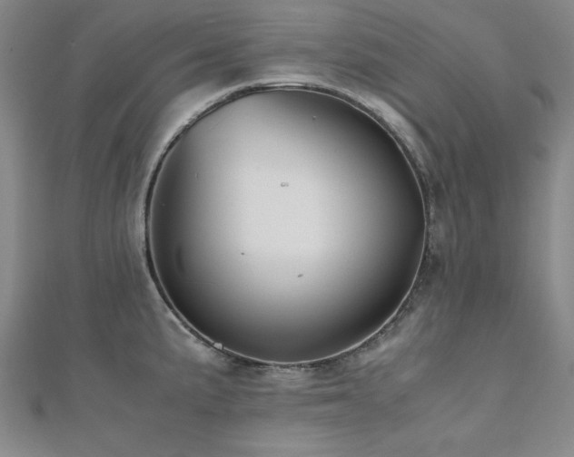 X0000112511191200908171327