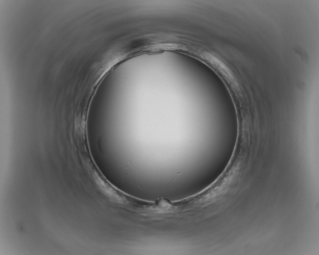 X0000112511193200908171327