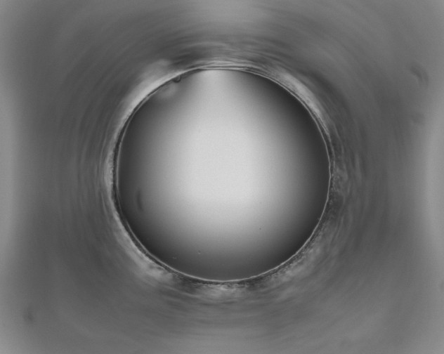 X0000112511195200908171327