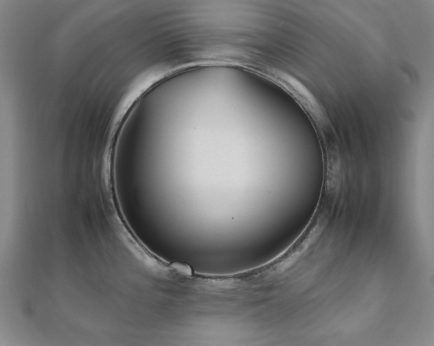 X0000112511196200908171327