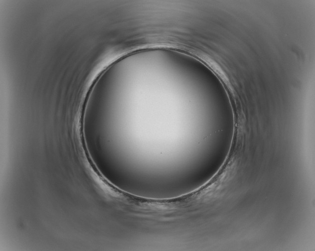 X0000112511197200908171327