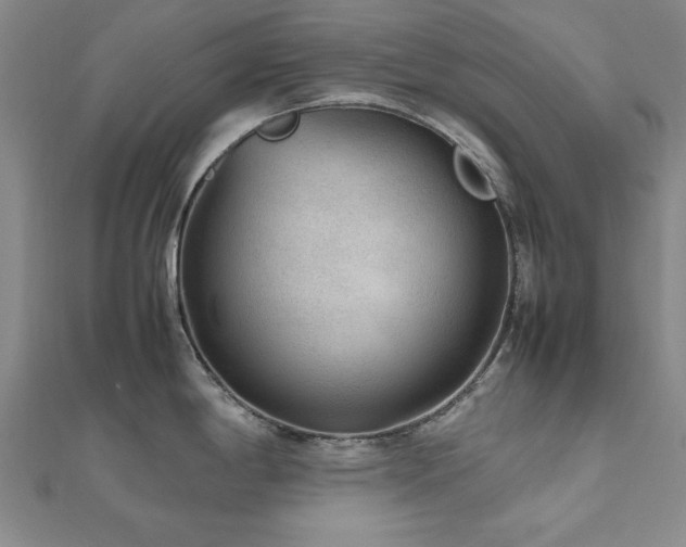 X0000112511198200908171327