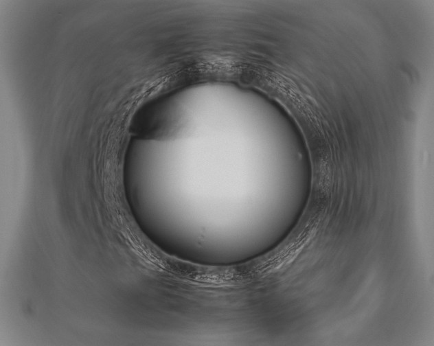 X0000112511201200908171326
