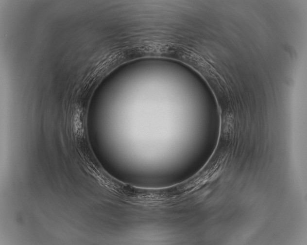X0000112511202200908171326