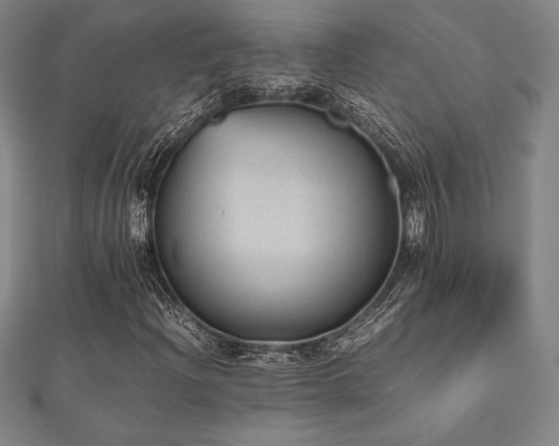 X0000112511204200908171326