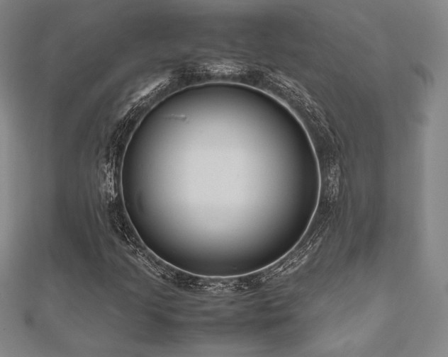X0000112511205200908171326