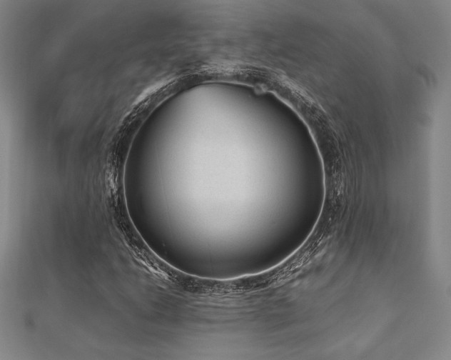 X0000112511206200908171326