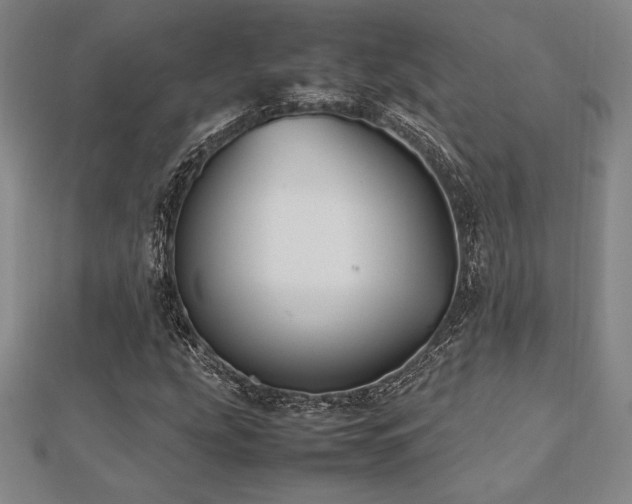X0000112511207200908171326