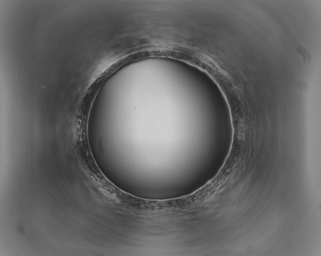 X0000112511208200908171326