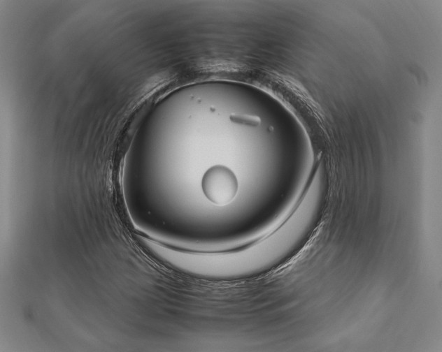 X0000112511209200908171326