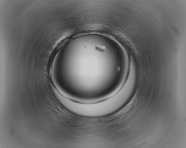 X0000112511210200908171326