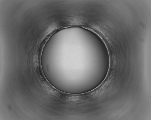 X0000112511211200908171326