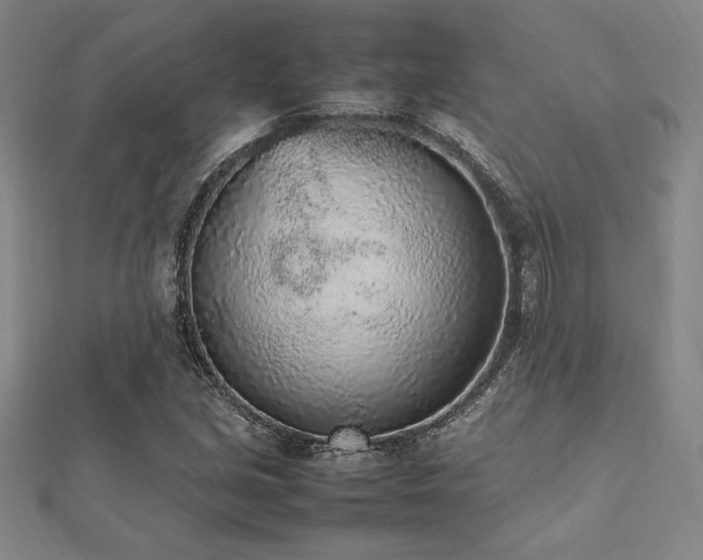 X0000112511213200908171326