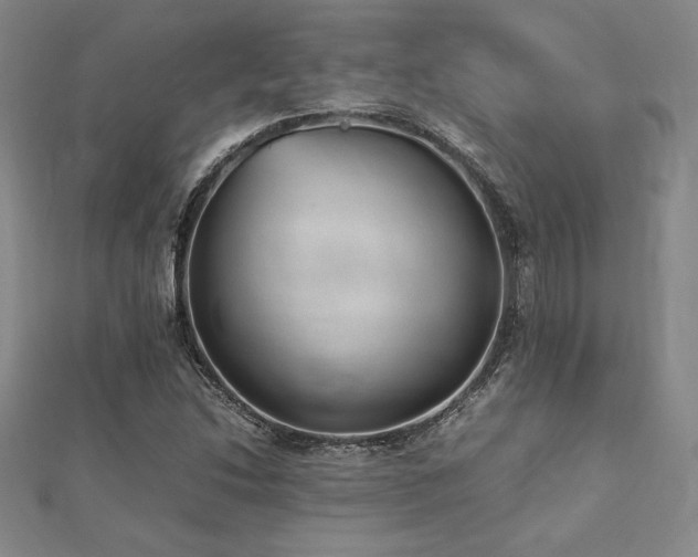 X0000112511214200908171326