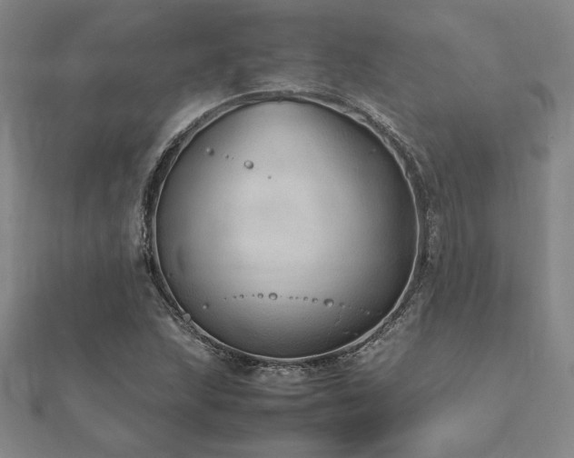 X0000112511215200908171326