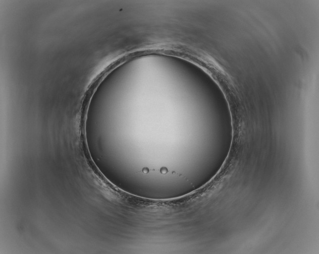 X0000112511216200908171326