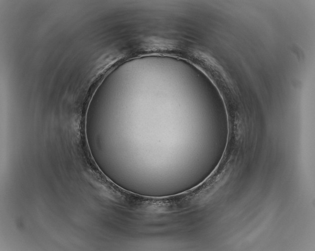 X0000112511217200908171326