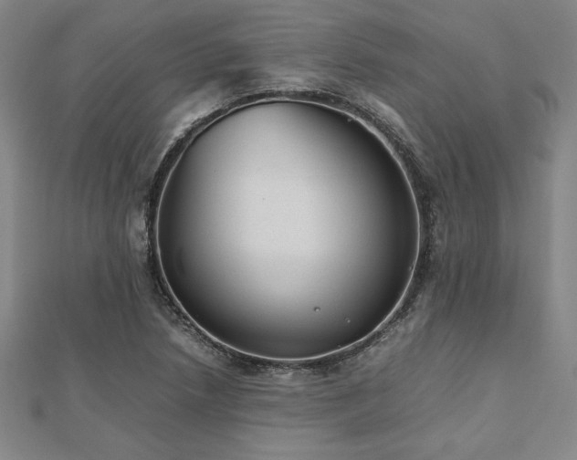 X0000112511218200908171326