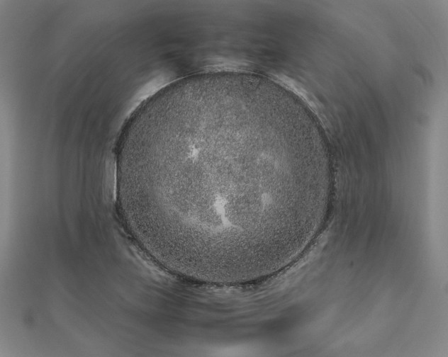 X0000112511219200908171326