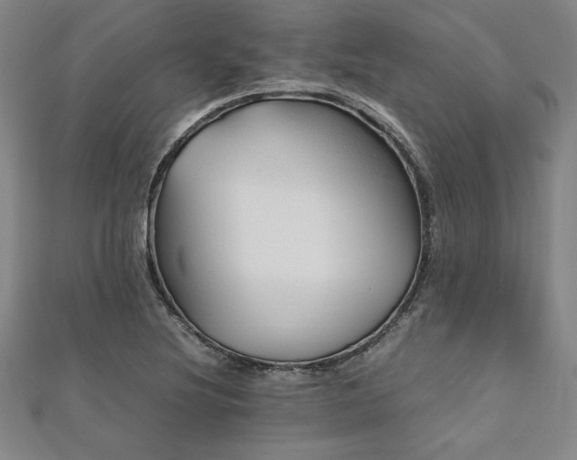 X0000112511220200908171326