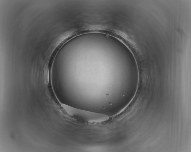 X0000112511221200908171326