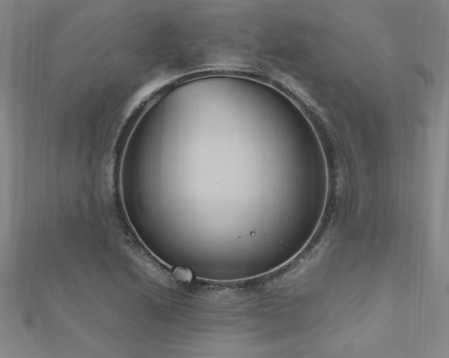 X0000112511222200908171327