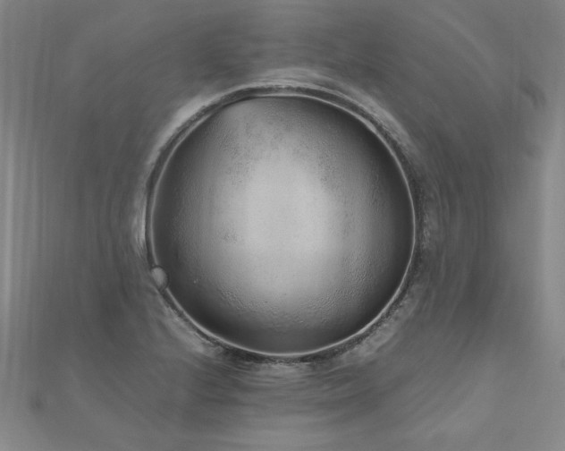 X0000112511224200908171327