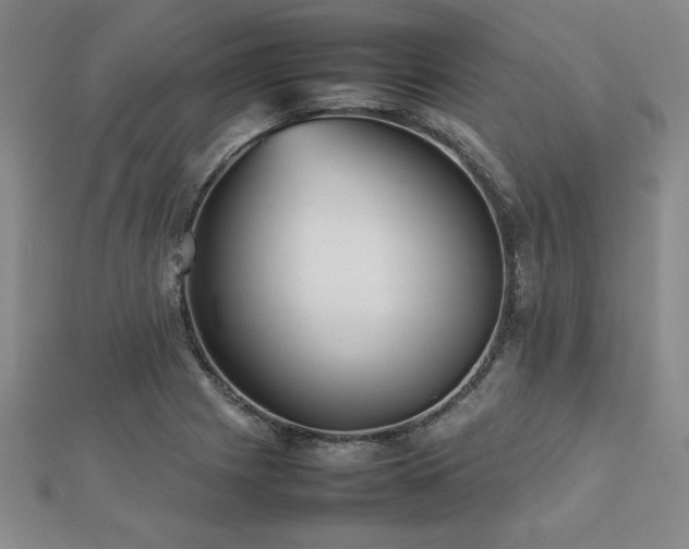 X0000112511225200908171327
