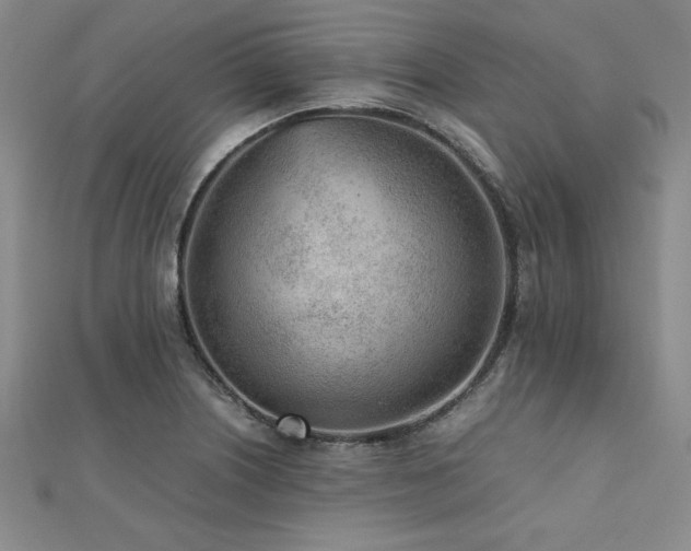 X0000112511226200908171327