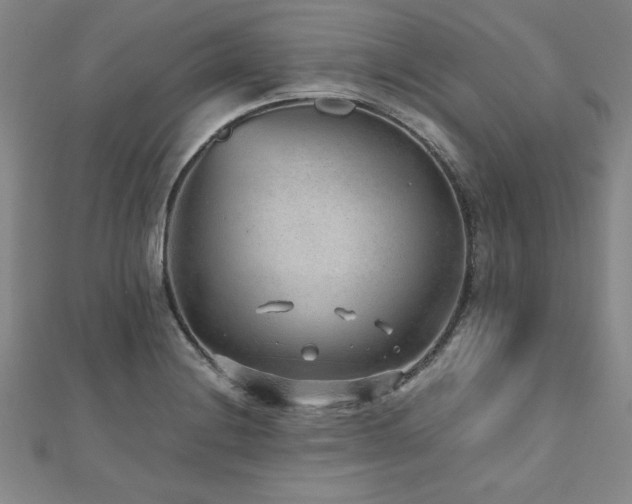 X0000112511228200908171327