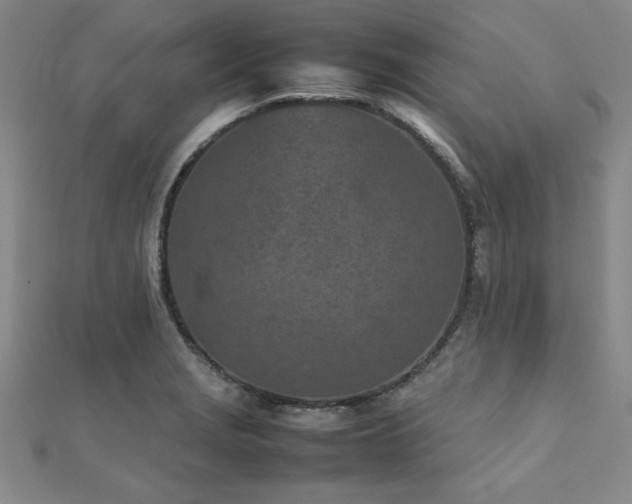 X0000112511229200908171327