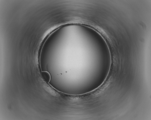 X0000112511230200908171327