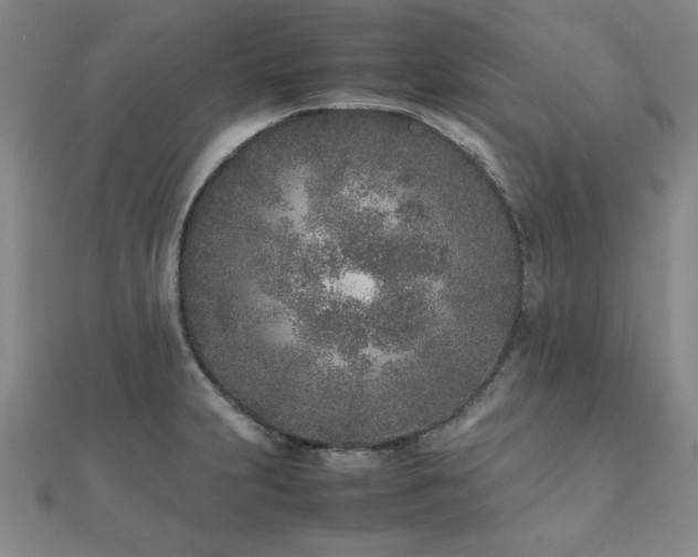 X0000112511231200908171327