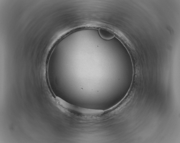 X0000112511232200908171327