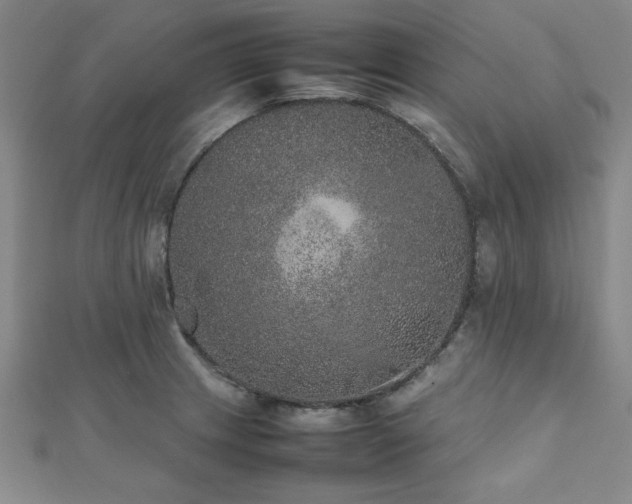 X0000112511233200908171327