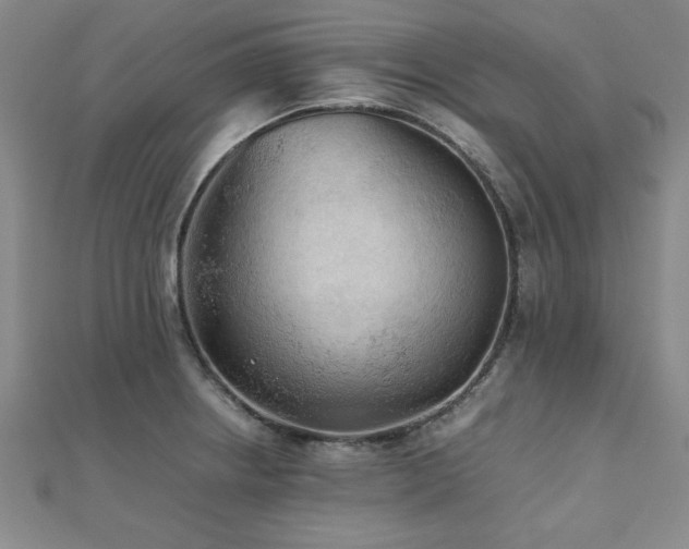 X0000112511234200908171327