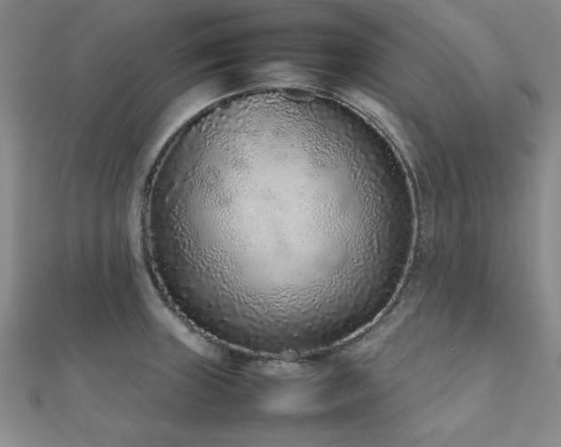 X0000112511235200908171327