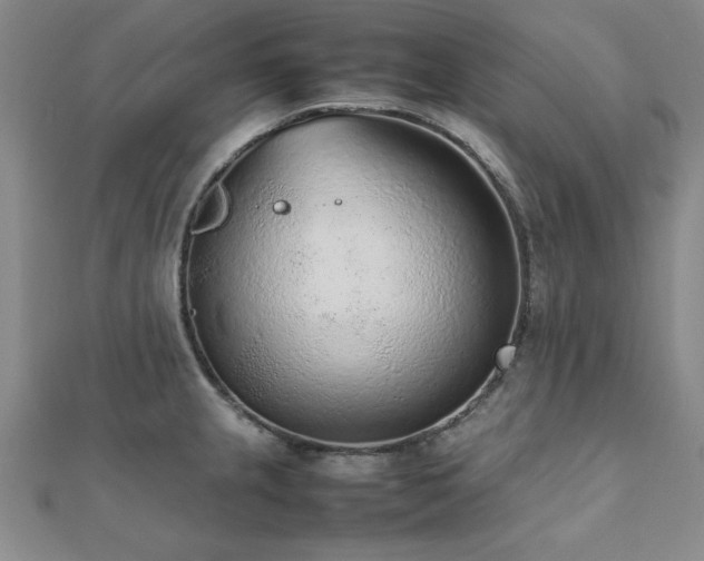 X0000112511237200908171327