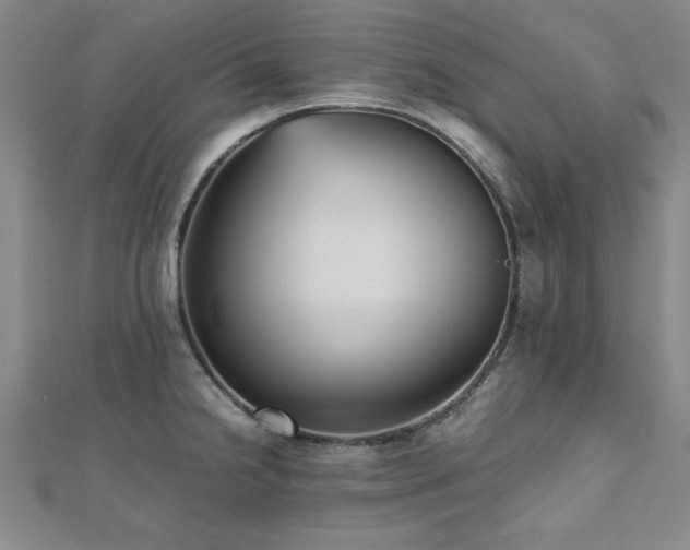X0000112511238200908171327