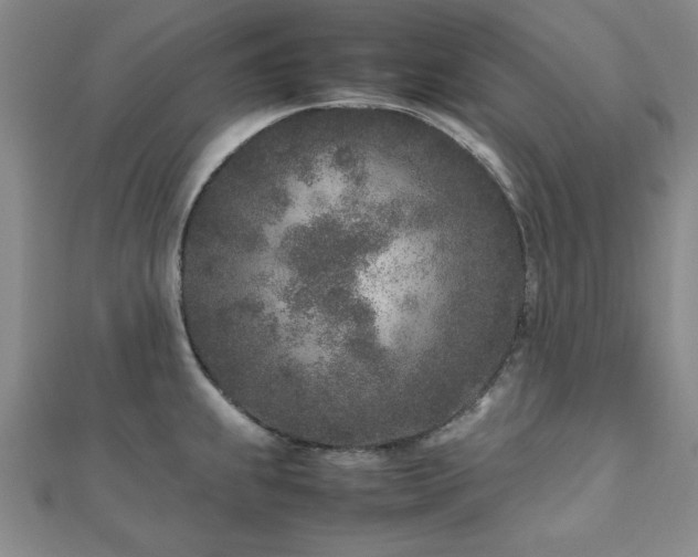 X0000112511239200908171327