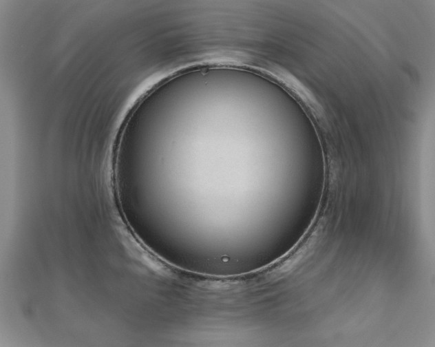 X0000112511240200908171327