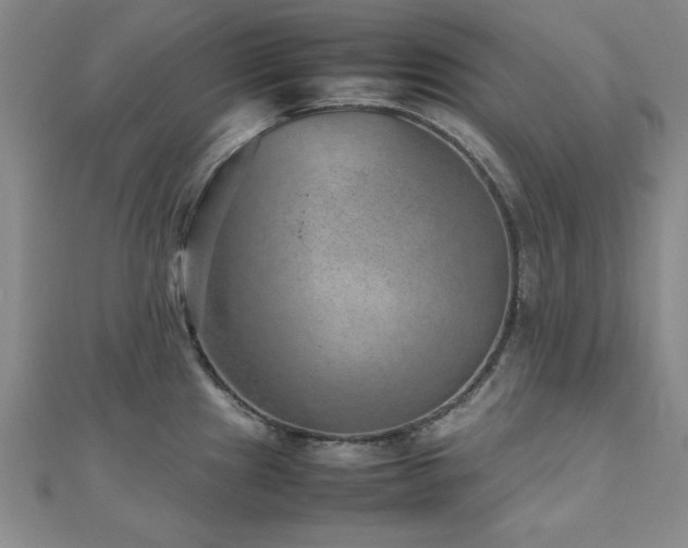 X0000112511241200908171327