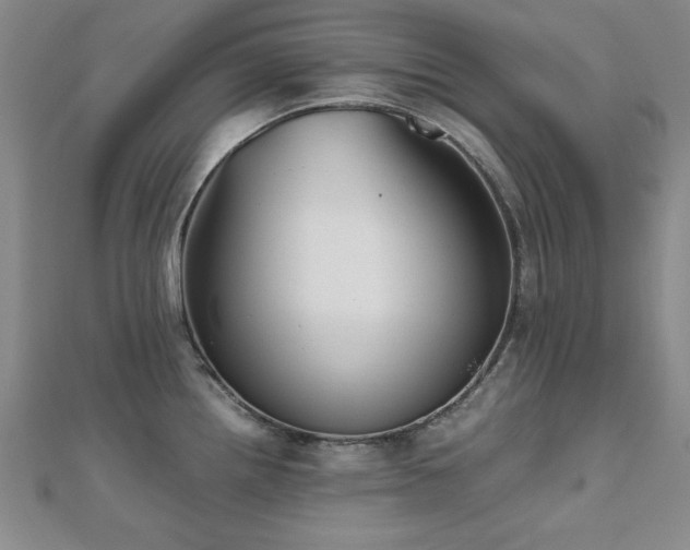 X0000112511242200908171327