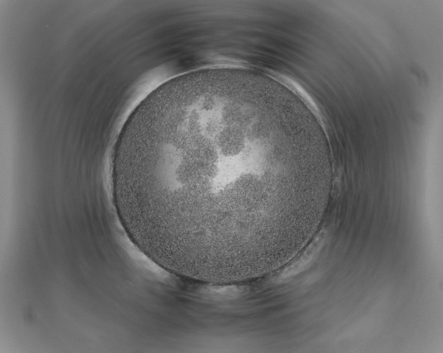 X0000112511243200908171327