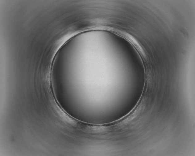 X0000112511244200908171327
