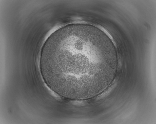 X0000112511245200908171327