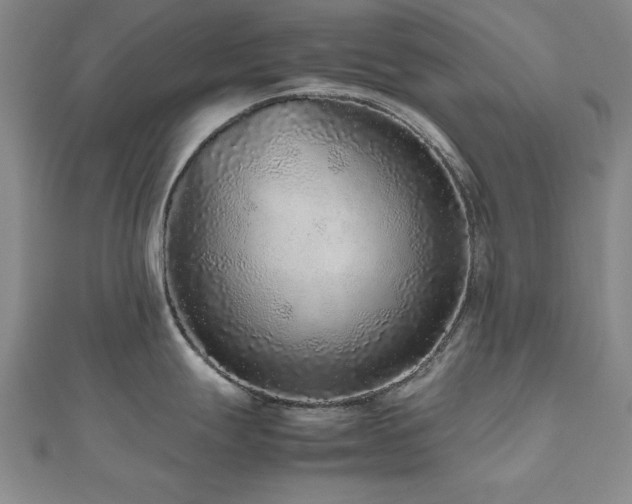 X0000112511247200908171327