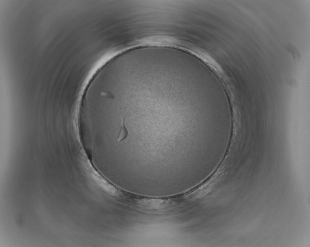 X0000112511248200908171327