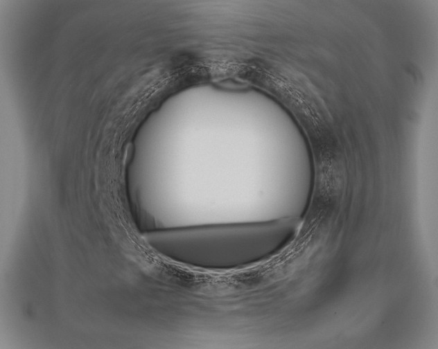 X0000112511249200908171326